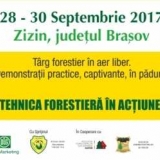 ForestRomaniaZizinProgemaForest .