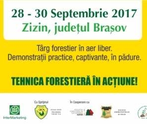 ForestRomaniaZizinProgemaForest .